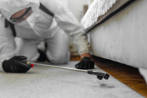 Professional Bed Bug Control technician working in Saline, MI