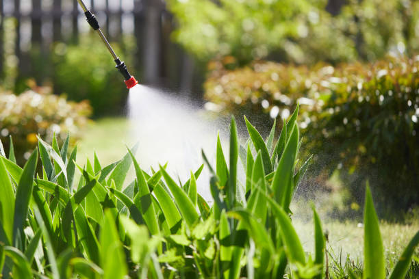 24/7 Emergency Bed Bug Control experts in Saline, MI