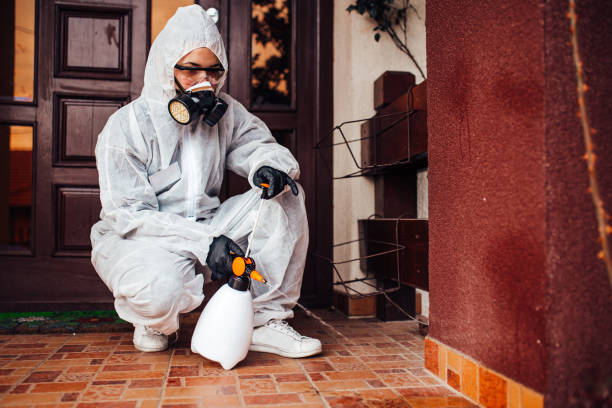 Reliable Bed Bug Control contractor in Saline, MI by Nex Pest Control